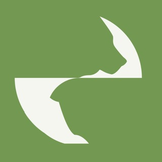 Аватар Telegram-канала Exima — дома из клееного бруса СПб МСК