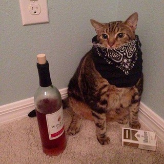 Аватар ezkizzz — эскизы татуировок