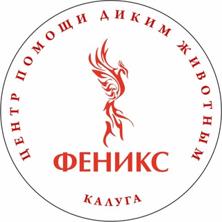 Аватар Феникс дикие животные