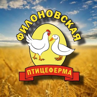 Аватар Telegram-канала 🐣Филоновская птицеферма🐥