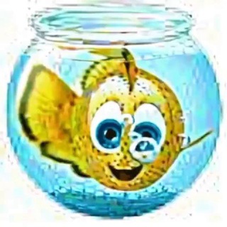 Аватар Telegram-канала Рыбалка с Юмором🎣