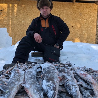 Аватар Telegram-канала РЫБАЦКИЕ ИСТОРИИ от romrom