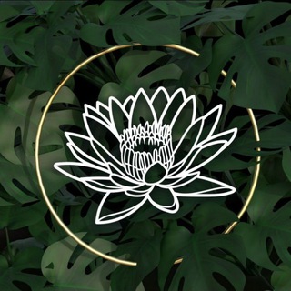 Аватар Telegram-канала 🏄Fit Retreat🪷 отдых на Шри-Ланке