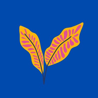 Аватар Telegram-канала Физика ЦТ/ЦЭ