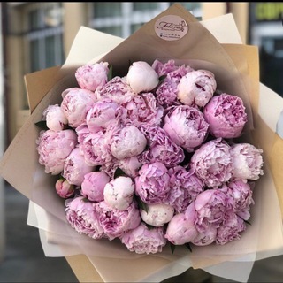 Аватар Telegram-канала Студия флористики FLORA 💐