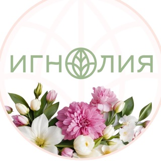 Аватар Telegram-канала «Игнолия» доставка цветов Люберцы