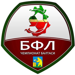 Аватар БФЛ — Балтасинская футбольная лига⚽️