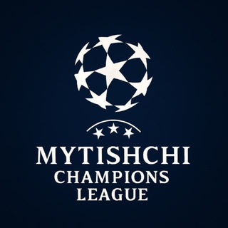 Аватар Telegram-канала Мытищинская Лига Чемпионов