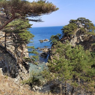 Аватар Telegram-канала База отдыха Фортуна с.Андреевка Приморский край т.89140686237