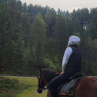 Аватар Telegram-канала 🏅Красивые видео и фотки с лошадьми 🐎