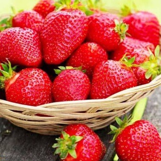 Аватар Telegram-канала Витаминный чат🍓🍒