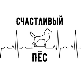 Аватар Telegram-канала Счастливый Пёс DOGтренер
