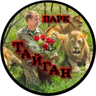 Аватар Telegram-канала Гадалка