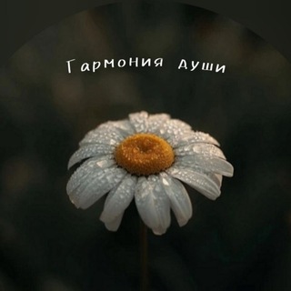 Аватар Гармония души | психология, мысли , мотивация 🕊