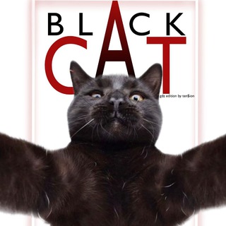Аватар Интернет Урок ГДЗ|11 класс [АРХИВ: 9 — 10 класс]BlackCat