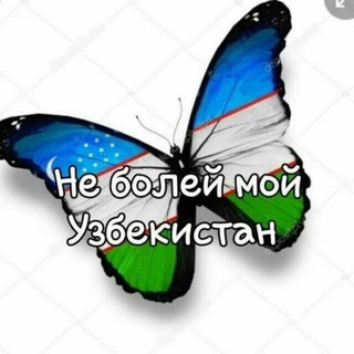 Аватар Telegram-канала Рихтер и Женское Здоровье