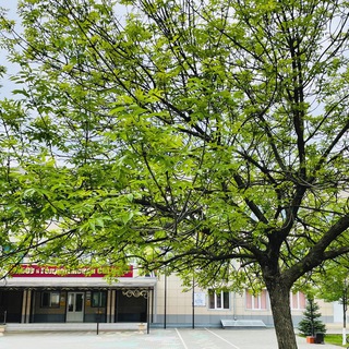 Аватар Школьный блог СШ №2.