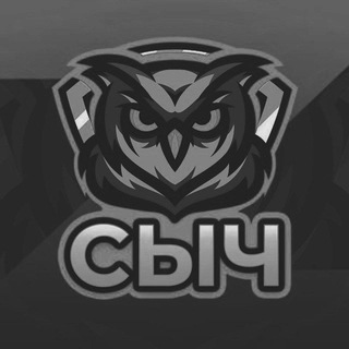 Аватар Telegram-канала Сыч Z