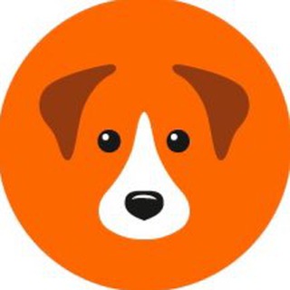 Аватар Telegram-канала Getdog — муниципальный приют для собак