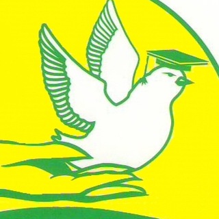 Аватар Гимназия №47