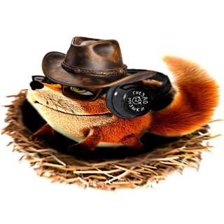 Аватар Telegram-канала 🪹 Гнездо: Музыки