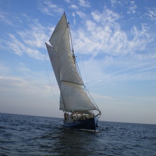 Аватар Go Gogland экспедиции по островам Финского залива. Не туры.