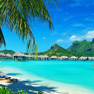 Аватар Telegram-канала Инвесторы Малибу