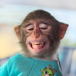 Аватар Telegram-канала Отдых в Голубицкой на берегу Азовского моря | Голубицкая Отдых