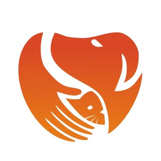 Аватар Telegram-канала Добрые руки — помощь бездомным животным Уфа