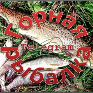 Аватар Telegram-канала ГОРНАЯ РЫБАЛКА🎣🐟