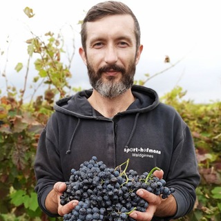 Аватар Telegram-канала grape_anapa_public