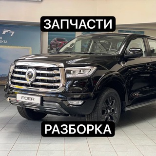 Аватар Telegram-канала 🇨🇳Great Wall Poer | Запчасти | Разборка