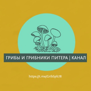 Аватар Telegram-канала 🌲 Грибы и Грибники Питера / Спб / Карелии / Лен. Области (Отчеты) | Лес | Природа