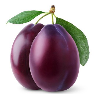 Аватар Telegram-канала Гродненские сливы — новости Гродно