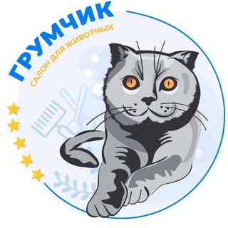 Аватар Telegram-канала Красивая стрижка собак и кошек. Лицензированная школа Груминга. Ростов-на-Дону. ГрумЧик🥇