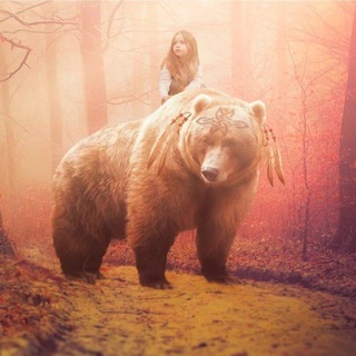 Аватар Telegram-канала Размышления Медведя