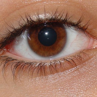 Аватар Цифровой геноцид