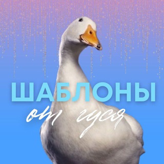 Аватар Шаблоны от гуся | SMM | Контент | Монтаж | Мемы