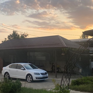 Аватар Telegram-канала бассятские движения садового