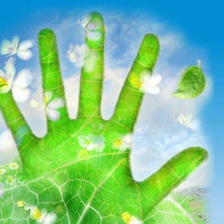 Аватар Telegram-канала ГУЗ «Саратовская городская клиническая больница N10»