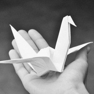 Аватар МБОО «Гимназия» г.о.Фрязино