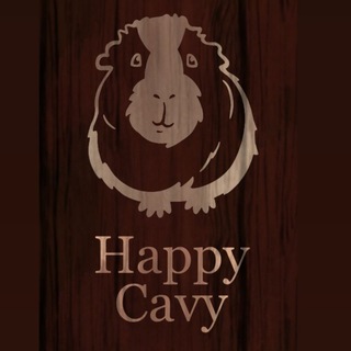 Аватар Telegram-канала HappyCavy.msk