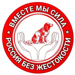 Аватар Telegram-канала Помощь животным. Тула. Help Paw 71 🐕