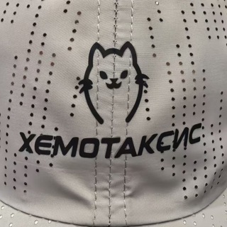 Аватар Telegram-канала Хемотаксис Run