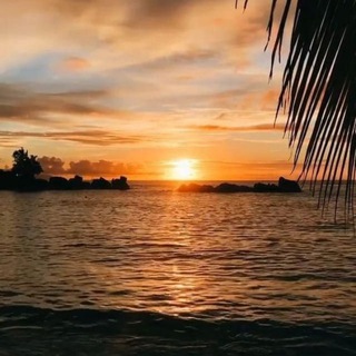 Аватар Telegram-канала Хинди & Англ. уроки | Гоа🌴