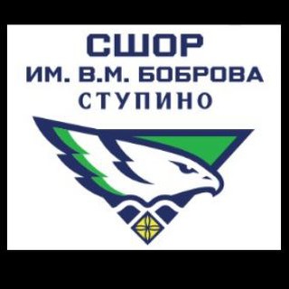 Аватар Telegram-канала СШОР ИМ. В.М. Боброва Ступино 2015-2016