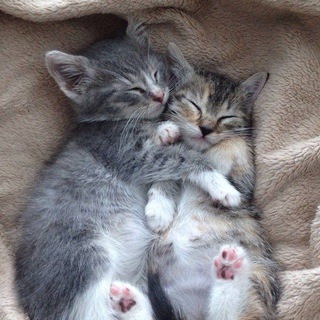 Аватар Telegram-канала кондиционеры оптом