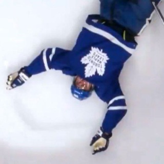 Аватар ястребица хоккейная птица