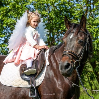 Аватар Telegram-канала Конный Клуб Horse Travel 1