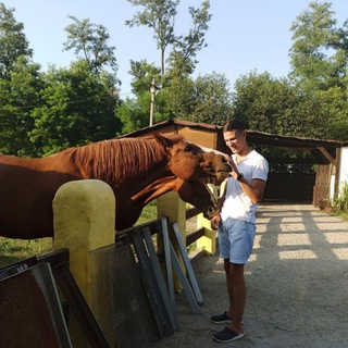 Аватар Telegram-канала ЭКОФЕРМА 🌾 КРАСНОДАР 🐎 ЭКСКУРСИИ 🌻 Хутор Атамана